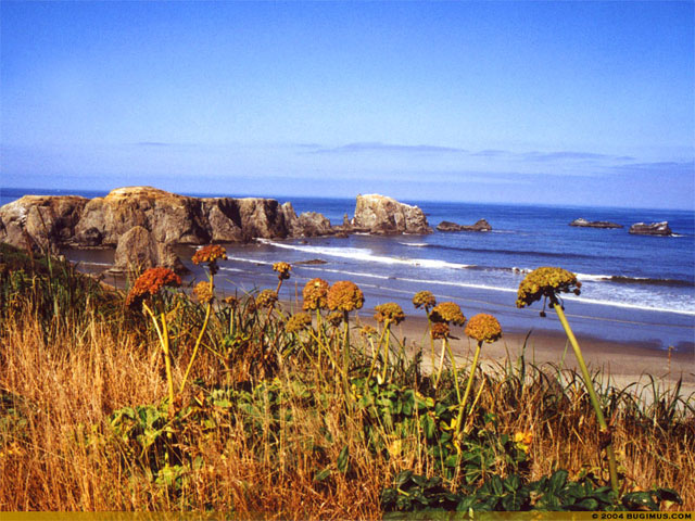Coastal Escape