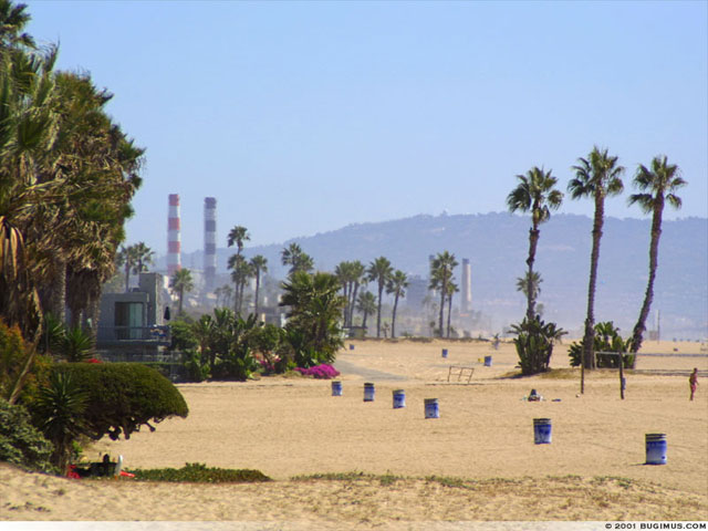 Playa del Rey