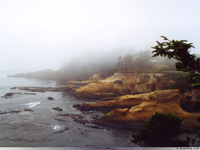 Sandstone Cliffs