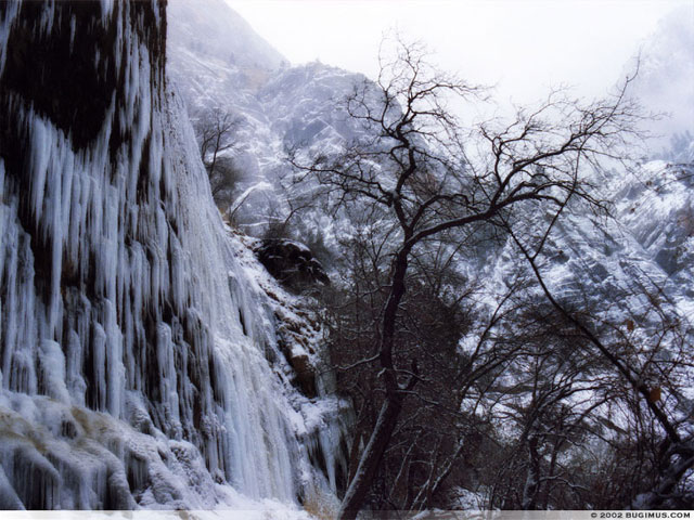 Weeping Rock